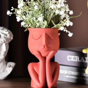 Cache-Pot Visage